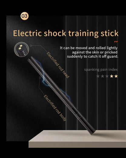 roomfun Electro Stimulation BDSM Electric shock