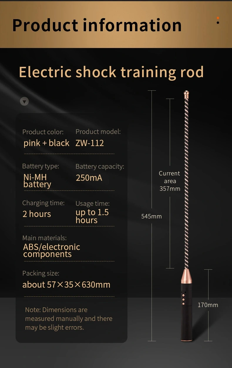 roomfun Electro Stimulation BDSM Electric shock