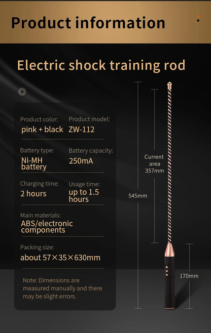 roomfun Electro Stimulation BDSM Electric shock