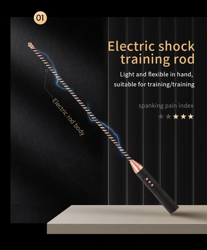 roomfun Electro Stimulation BDSM Electric shock