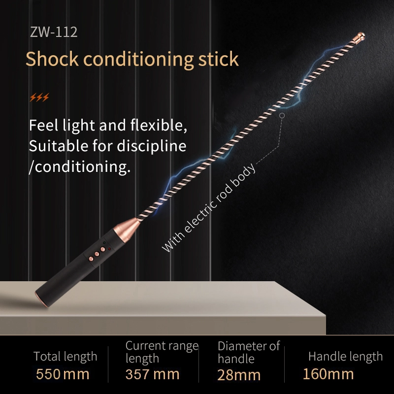 roomfun Electro Stimulation BDSM Electric shock