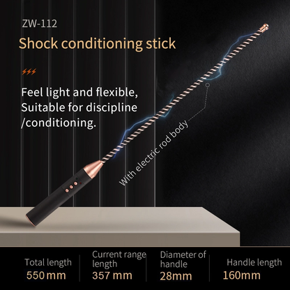 roomfun Electro Stimulation BDSM Electric shock