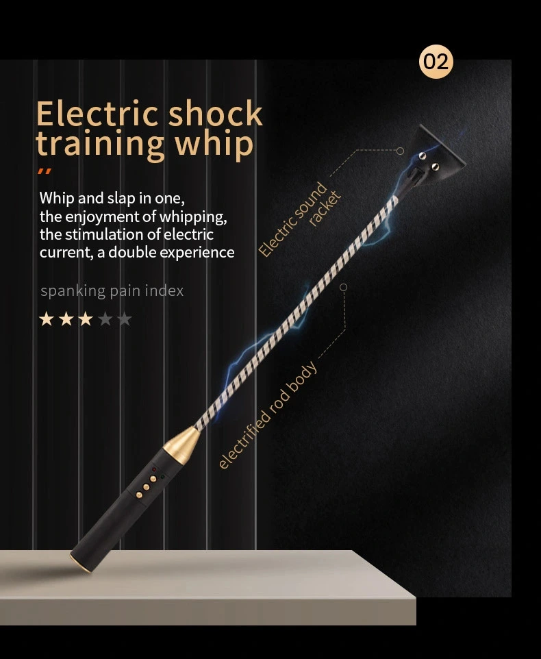 roomfun Electro Stimulation BDSM Electric shock