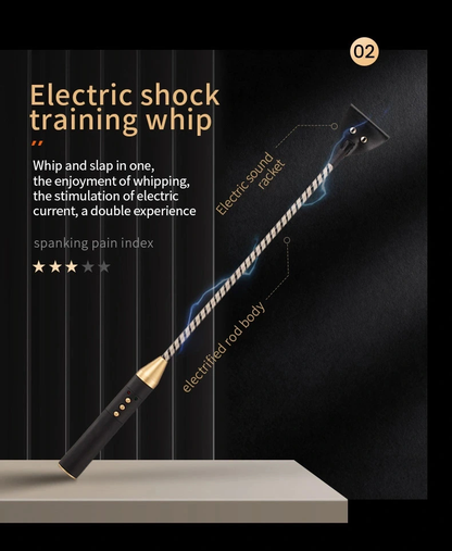 roomfun Electro Stimulation BDSM Electric shock